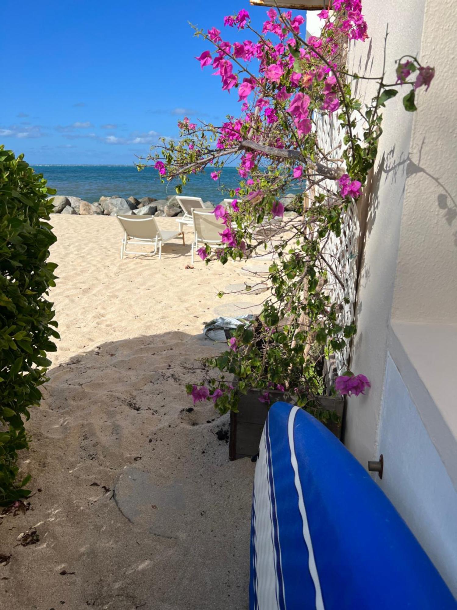 Sweet Home Sxm Baie Nettle Pieds Dans L'Eau Sandy Ground Εξωτερικό φωτογραφία